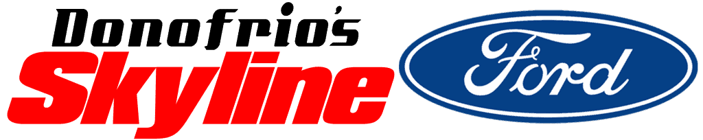 Cropped skylineflat h nostrokenoback 1 1024x204